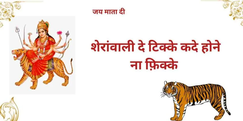 शेरांवाली दे टिक्के